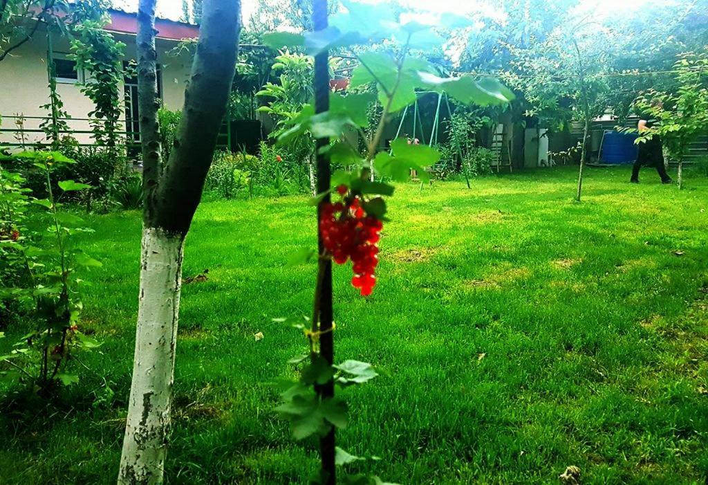 Guest House Villa ควาเรลี ภายนอก รูปภาพ